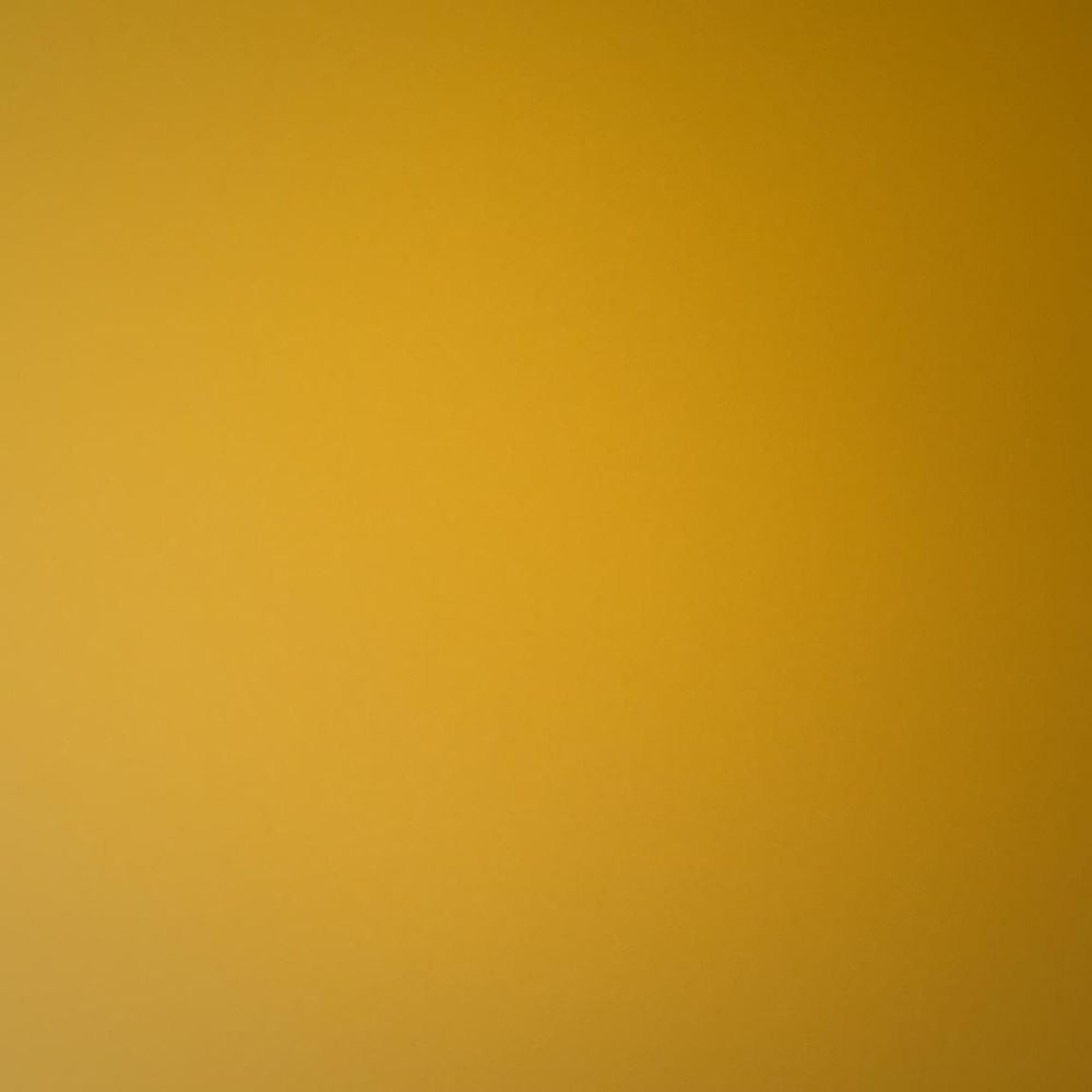 Meet your Posher, Dan